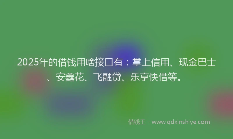 2025年的借钱用啥接口有：掌上信用、现金巴士、安鑫花、飞融贷、乐享快借等。