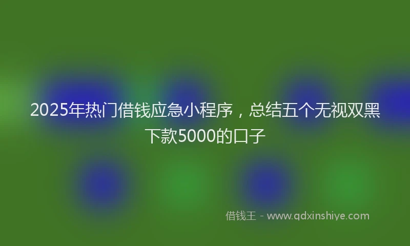 2025年热门借钱应急小程序，总结五个无视双黑下款5000的口子