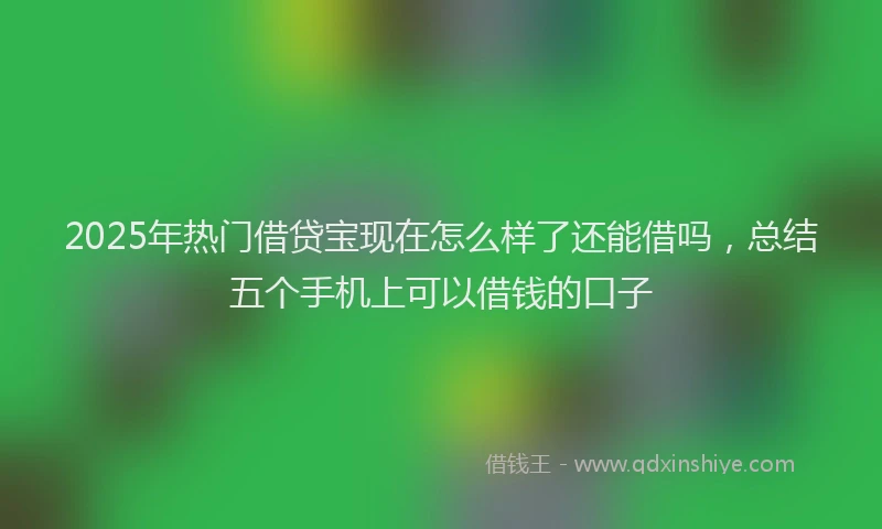 2025年热门借贷宝现在怎么样了还能借吗，总结五个手机上可以借钱的口子