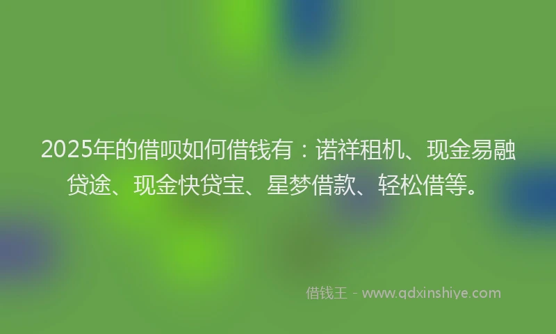 2025年的借呗如何借钱有：诺祥租机、现金易融贷途、现金快贷宝、星梦借款、轻松借等。