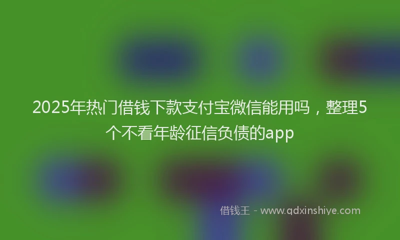 2025年热门借钱下款支付宝微信能用吗，整理5个不看年龄征信负债的app