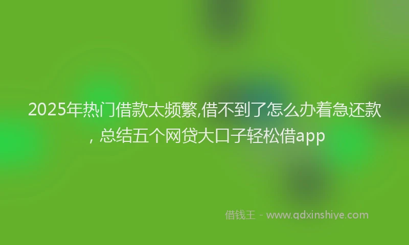 2025年热门借款太频繁,借不到了怎么办着急还款，总结五个网贷大口子轻松借app