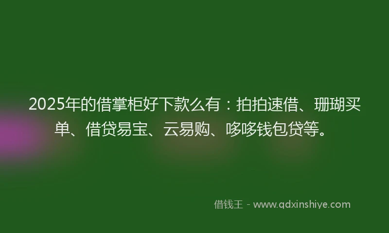 2025年的借掌柜好下款么有：拍拍速借、珊瑚买单、借贷易宝、云易购、哆哆钱包贷等。