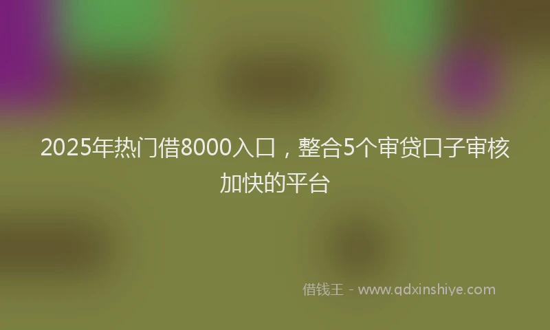 2025年热门借8000入口，整合5个审贷口子审核加快的平台