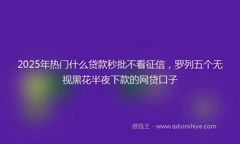 2025年热门什么贷款秒批不看征信，罗列五个无视黑花半夜下款的网贷口子