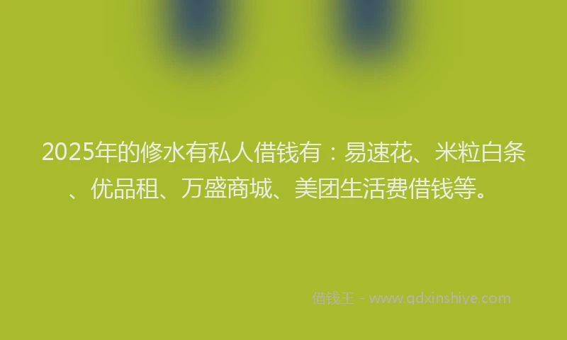 2025年的修水有私人借钱有：易速花、米粒白条、优品租、万盛商城、美团生活费借钱等。