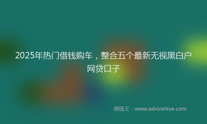 2025年热门借钱购车，整合五个最新无视黑白户网贷口子