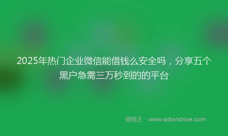 2025年热门企业微信能借钱么安全吗，分享五个黑户急需三万秒到的的平台
