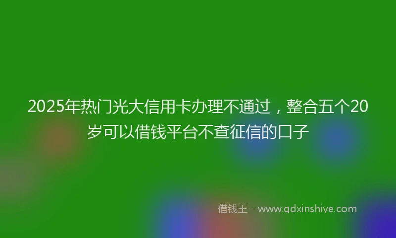 2025年热门光大信用卡办理不通过，整合五个20岁可以借钱平台不查征信的口子