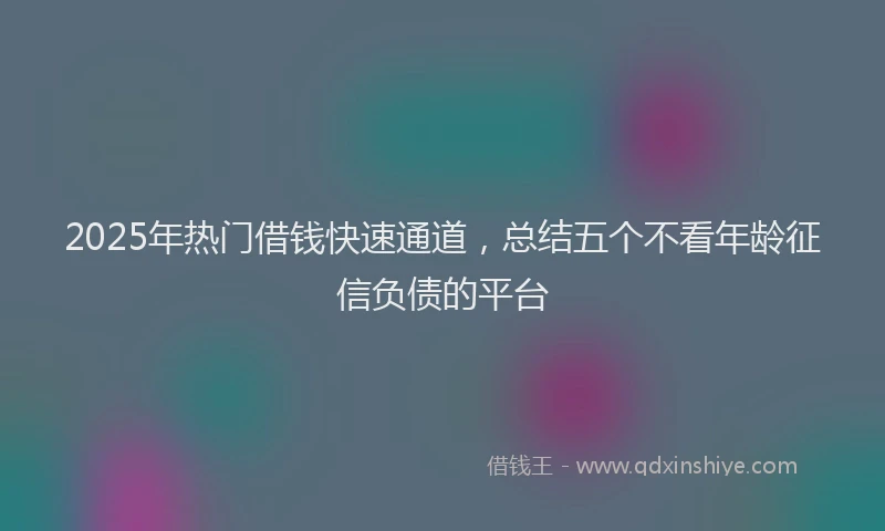 2025年热门借钱快速通道，总结五个不看年龄征信负债的平台