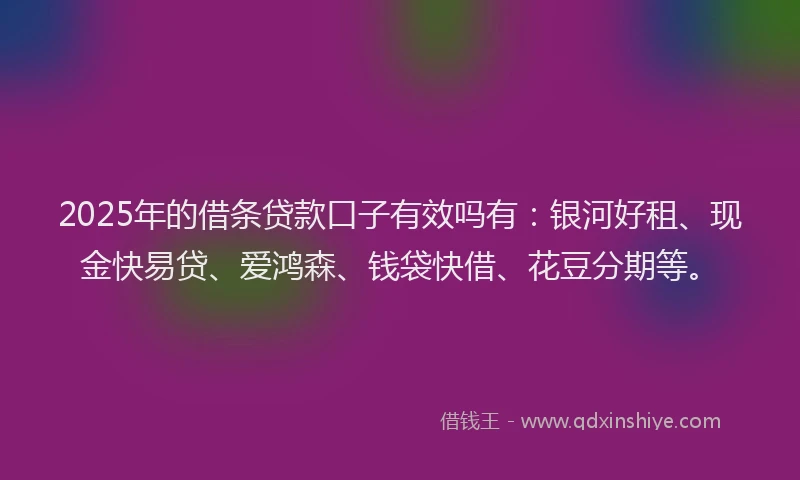 2025年的借条贷款口子有效吗有：银河好租、现金快易贷、爱鸿森、钱袋快借、花豆分期等。