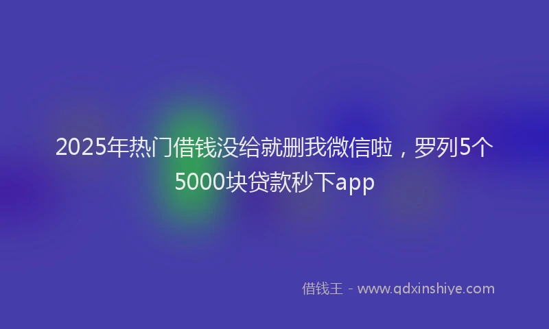 2025年热门借钱没给就删我微信啦，罗列5个5000块贷款秒下app