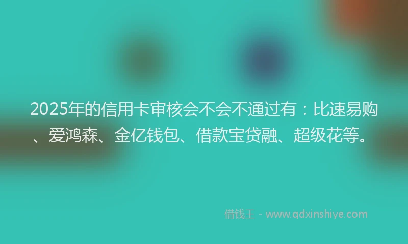 2025年的信用卡审核会不会不通过有：比速易购、爱鸿森、金亿钱包、借款宝贷融、超级花等。