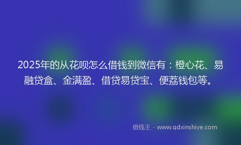 2025年的从花呗怎么借钱到微信有：橙心花、易融贷盒、金满盈、借贷易贷宝、便荔钱包等。
