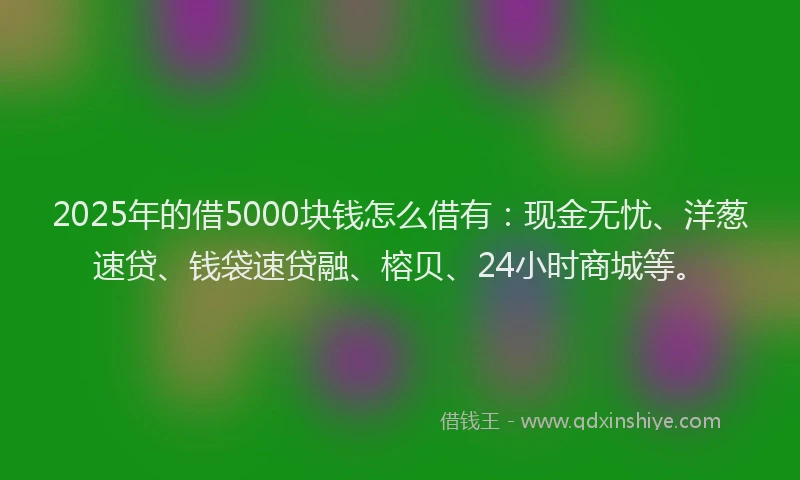2025年的借5000块钱怎么借有：现金无忧、洋葱速贷、钱袋速贷融、榕贝、24小时商城等。