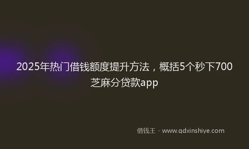 2025年热门借钱额度提升方法，概括5个秒下700芝麻分贷款app