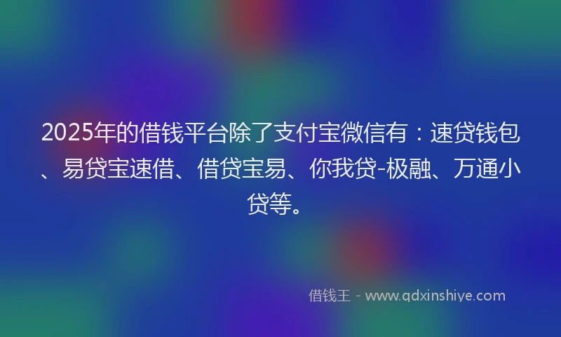 2025年的借钱平台除了支付宝微信有：速贷钱包、易贷宝速借、借贷宝易、你我贷-极融、万通小贷等。