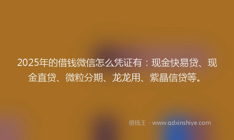 2025年的借钱微信怎么凭证有：现金快易贷、现金直贷、微粒分期、龙龙用、紫晶信贷等。