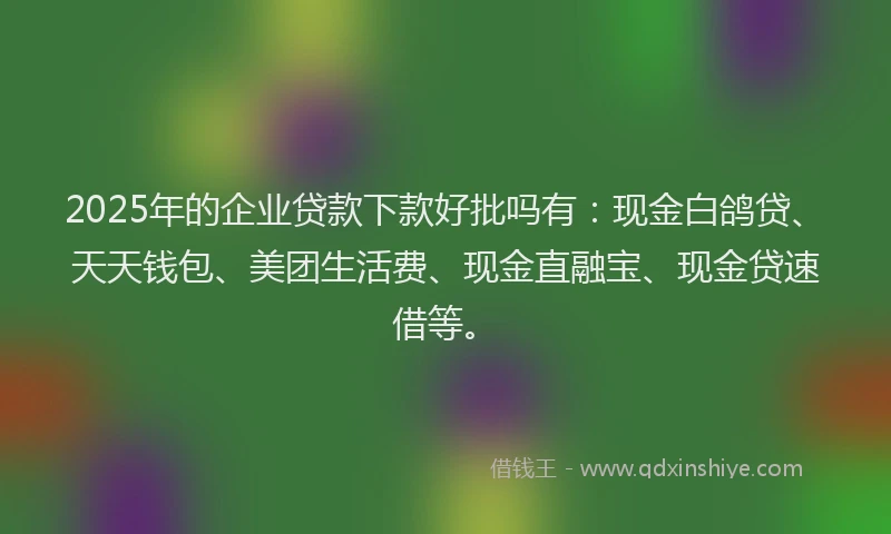 2025年的企业贷款下款好批吗有：现金白鸽贷、天天钱包、美团生活费、现金直融宝、现金贷速借等。