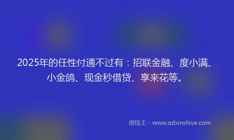 2025年的任性付通不过有：招联金融、度小满、小金鸽、现金秒借贷、享来花等。