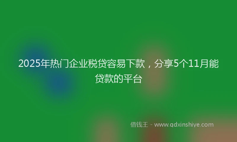 2025年热门企业税贷容易下款，分享5个11月能贷款的平台