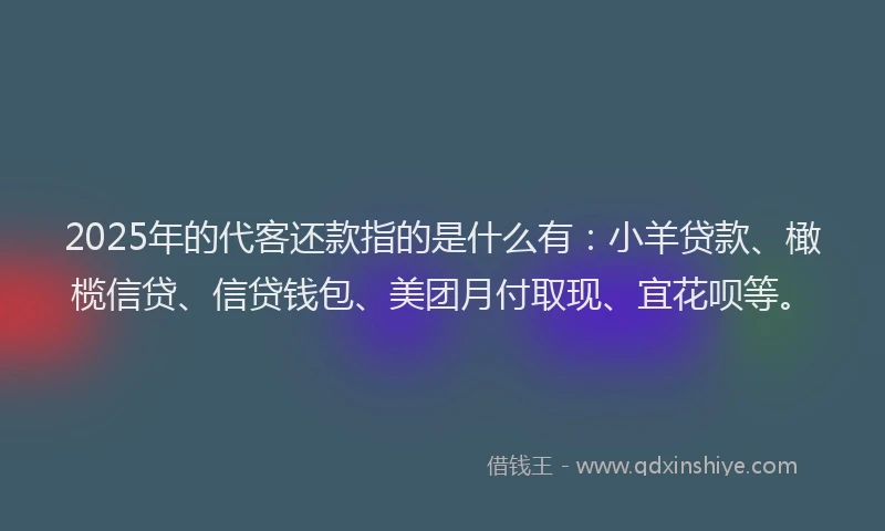 2025年的代客还款指的是什么有：小羊贷款、橄榄信贷、信贷钱包、美团月付取现、宜花呗等。