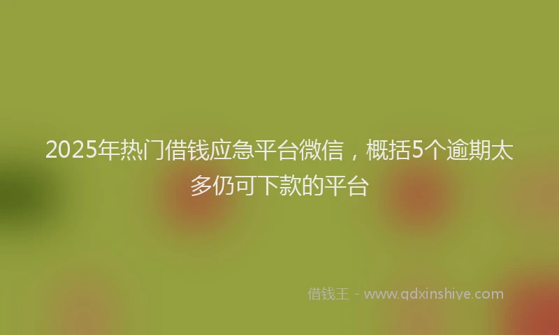 2025年热门借钱应急平台微信，概括5个逾期太多仍可下款的平台