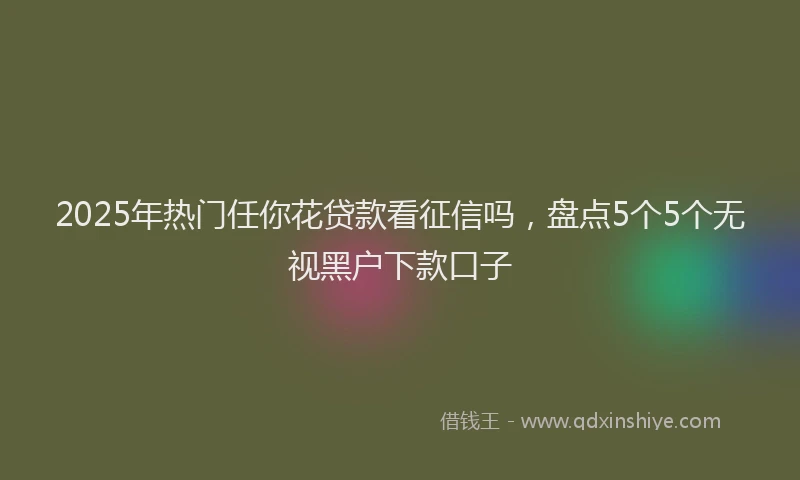 2025年热门任你花贷款看征信吗，盘点5个5个无视黑户下款口子