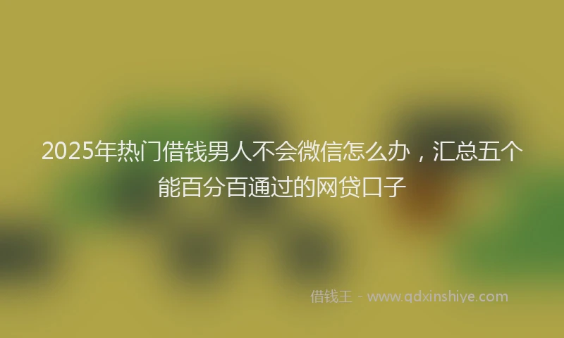 2025年热门借钱男人不会微信怎么办，汇总五个能百分百通过的网贷口子
