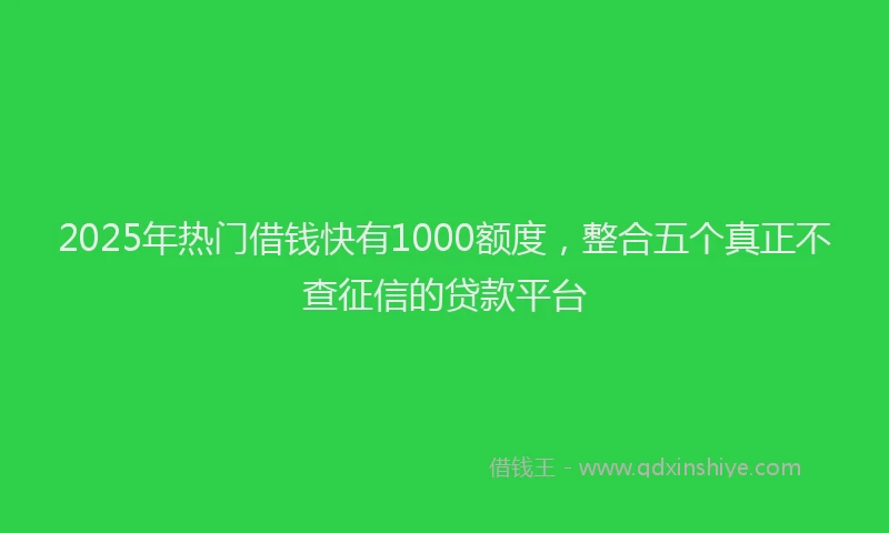 2025年热门借钱快有1000额度，整合五个真正不查征信的贷款平台