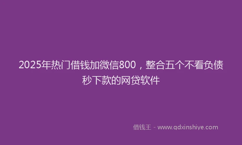 2025年热门借钱加微信800，整合五个不看负债秒下款的网贷软件