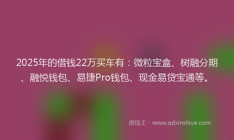 2025年的借钱22万买车有：微粒宝盒、树融分期、融悦钱包、易捷Pro钱包、现金易贷宝通等。
