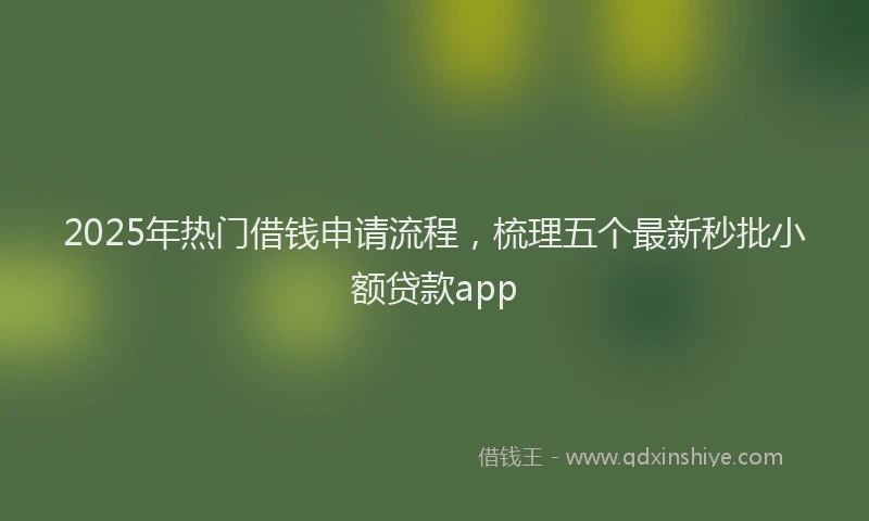 2025年热门借钱申请流程，梳理五个最新秒批小额贷款app
