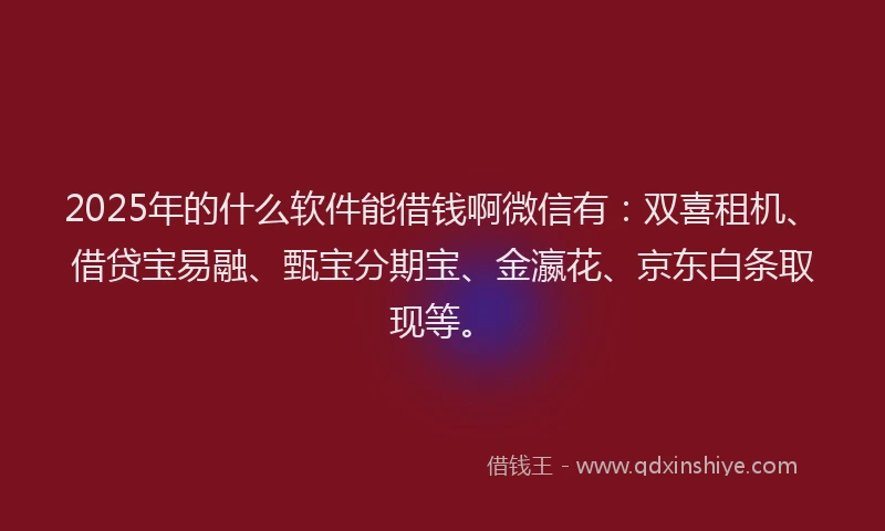 2025年的什么软件能借钱啊微信有：双喜租机、借贷宝易融、甄宝分期宝、金瀛花、京东白条取现等。