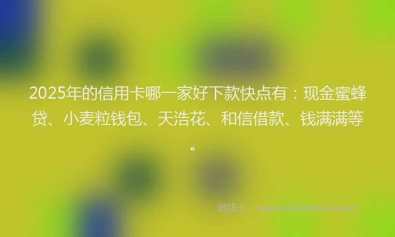 2025年的信用卡哪一家好下款快点有：现金蜜蜂贷、小麦粒钱包、天浩花、和信借款、钱满满等。