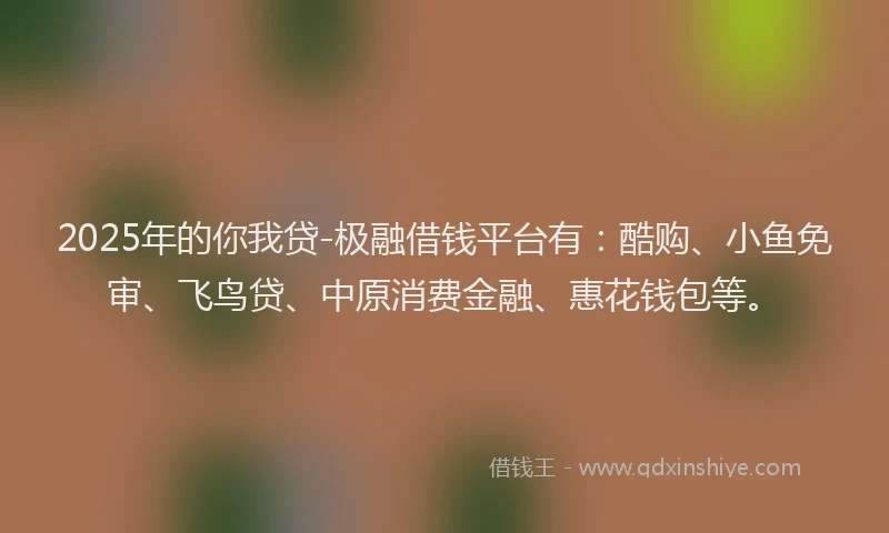 2025年的你我贷-极融借钱平台有：酷购、小鱼免审、飞鸟贷、中原消费金融、惠花钱包等。
