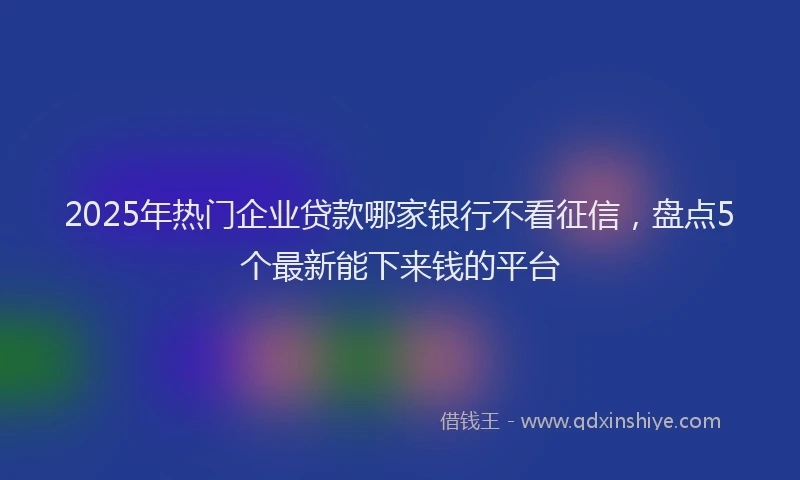 2025年热门企业贷款哪家银行不看征信，盘点5个最新能下来钱的平台