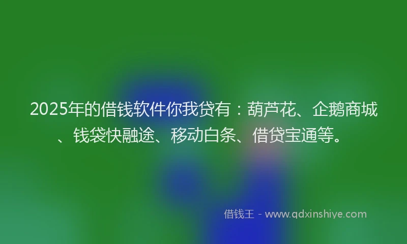 2025年的借钱软件你我贷有：葫芦花、企鹅商城、钱袋快融途、移动白条、借贷宝通等。