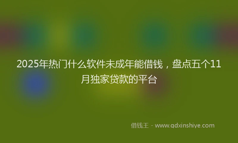 2025年热门什么软件未成年能借钱，盘点五个11月独家贷款的平台