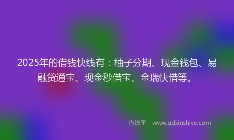 2025年的借钱快线有：柚子分期、现金钱包、易融贷通宝、现金秒借宝、金瑞快借等。