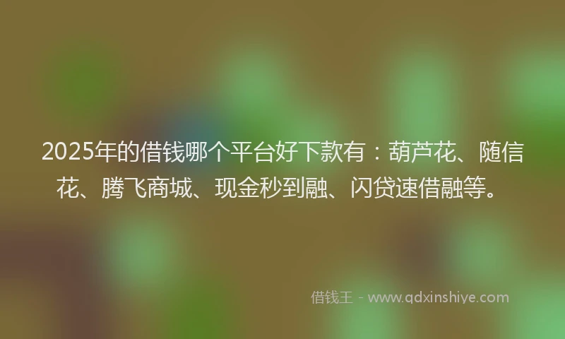 2025年的借钱哪个平台好下款有：葫芦花、随信花、腾飞商城、现金秒到融、闪贷速借融等。