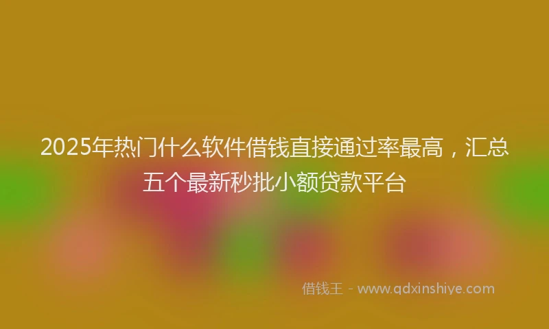 2025年热门什么软件借钱直接通过率最高，汇总五个最新秒批小额贷款平台