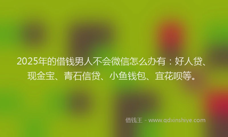 2025年的借钱男人不会微信怎么办有：好人贷、现金宝、青石信贷、小鱼钱包、宜花呗等。