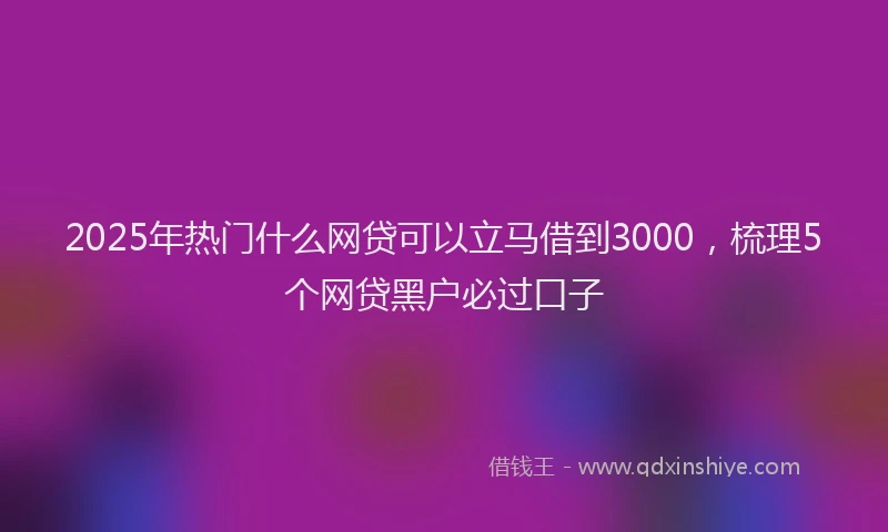 2025年热门什么网贷可以立马借到3000，梳理5个网贷黑户必过口子
