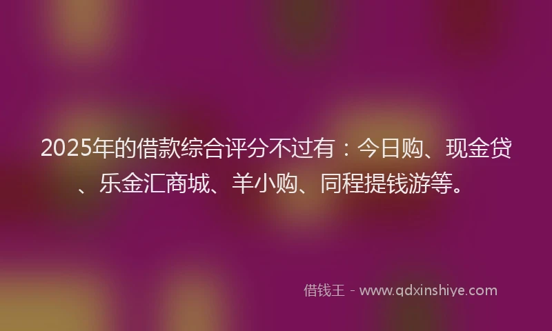 2025年的借款综合评分不过有：今日购、现金贷、乐金汇商城、羊小购、同程提钱游等。