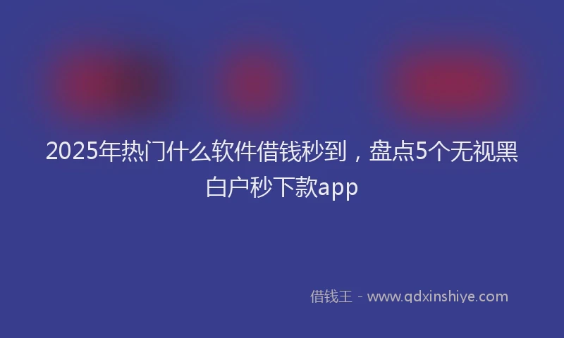 2025年热门什么软件借钱秒到，盘点5个无视黑白户秒下款app