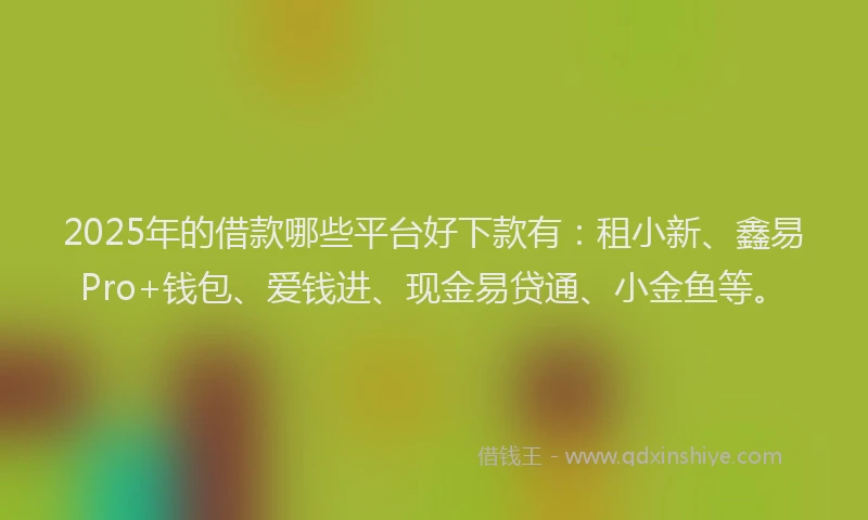 2025年的借款哪些平台好下款有：租小新、鑫易Pro+钱包、爱钱进、现金易贷通、小金鱼等。