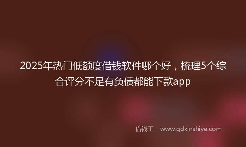 2025年热门低额度借钱软件哪个好，梳理5个综合评分不足有负债都能下款app