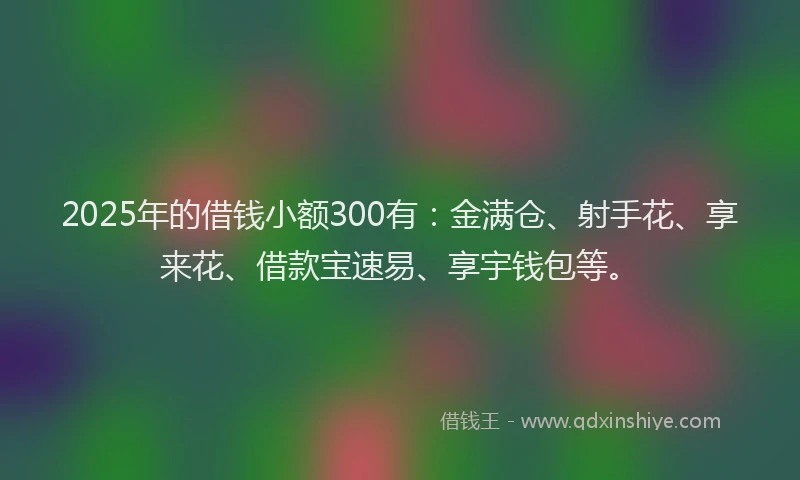 2025年的借钱小额300有：金满仓、射手花、享来花、借款宝速易、享宇钱包等。