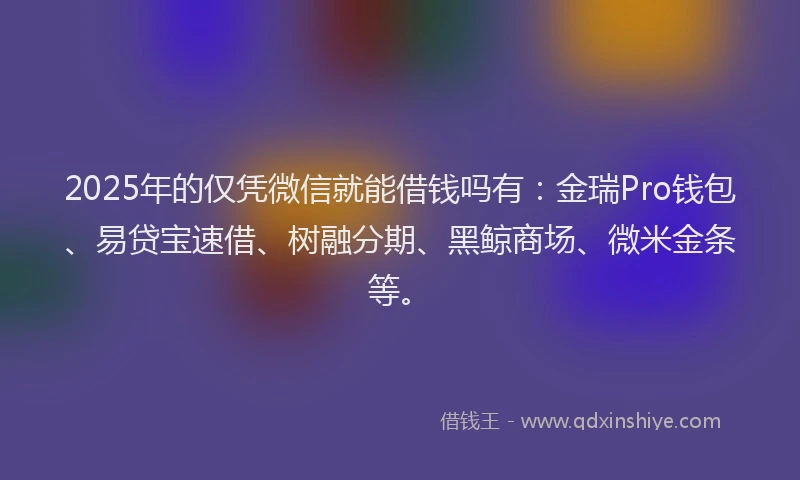 2025年的仅凭微信就能借钱吗有：金瑞Pro钱包、易贷宝速借、树融分期、黑鲸商场、微米金条等。